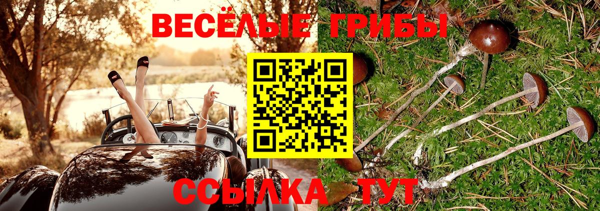 Псилоцибиновые грибы Cubensis Еманжелинск