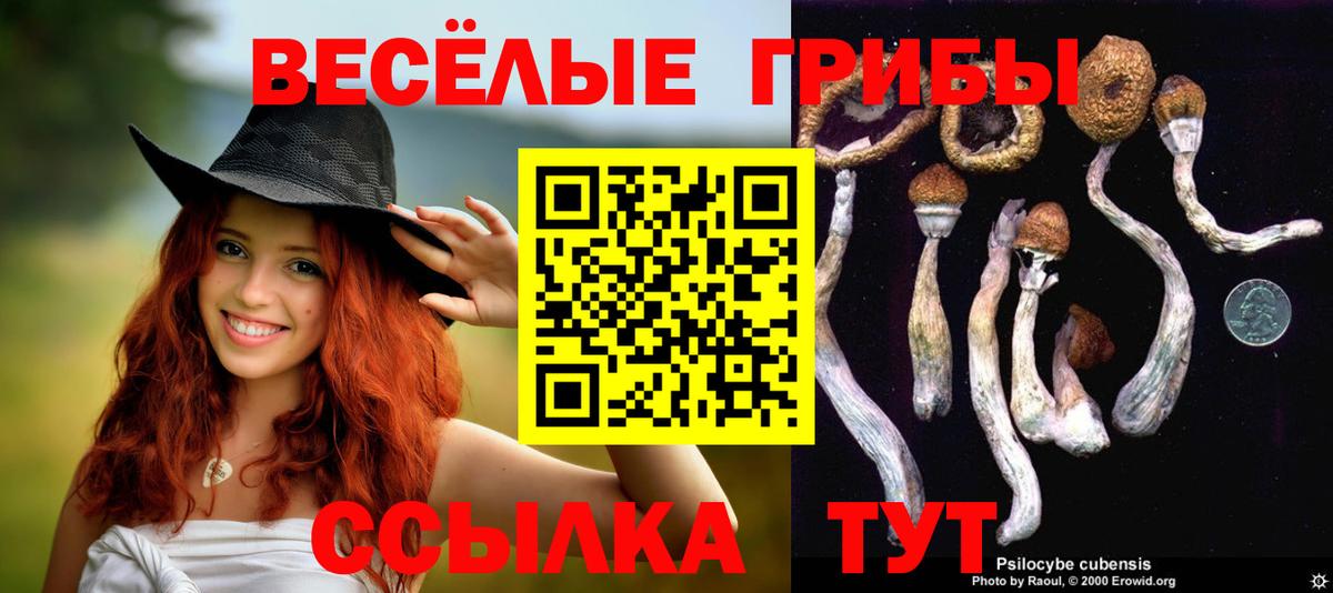 Галлюциногенные грибы мухоморы Еманжелинск